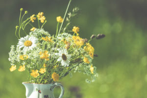 Frühling - Der Garten blüht im Sonnenlicht. Margeriten und Butterblumen in einer Vase im Garten. Frühling - Der Garten blüht im Sonnenlicht. Margeriten und Butterblumen in einer Vase im Garten.