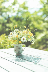 Frühling - Der Garten blüht im Sonnenlicht. Margeriten und Butterblumen in einer Vase im Garten. Frühling - Der Garten blüht im Sonnenlicht. Margeriten und Butterblumen in einer Vase im Garten.