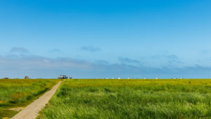 Ein Weg - Pfahlbauten am Strand von St. Peter Ording, Wattenmeer, Nordsee Ein Weg - Pfahlbauten am Strand von St. Peter Ording, Wattenmeer, Nordsee