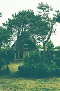 Hinter dem Deich - ein kleines Haus von Latschen und Kiefern umgeben in Norddeutschland, Nordsee Hinter dem Deich - ein kleines Haus von Latschen und Kiefern umgeben in Norddeutschland, Nordsee