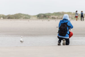 Ein Fotograf mit Rucksack kniet im Sand um ein Bild zu machen und wird dabei von einer Möwe beobachtet. Ein Fotograf mit Rucksack kniet im Sand um ein Bild zu machen und wird dabei von einer Möwe beobachtet.