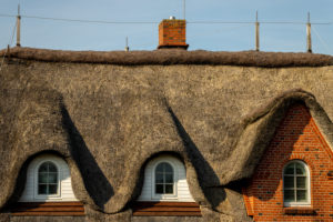 Thatched roof, thatched roof, with thatched roof in Northern Germany, close-up Thatched roof, thatched roof, with thatched roof in Northern Germany, close-up