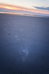 Footprints, a footprint in the sand. Relaxation on the Wadden Sea and on the North Sea beach at sunset. Leisure, sea and people. Footprints, a footprint in the sand. Relaxation on the Wadden Sea and on the North Sea beach at sunset. Leisure, sea and people.