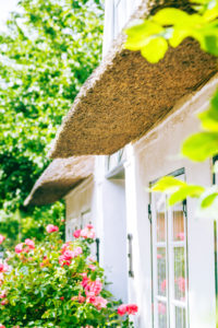 The underside of a thatched house. You can see the many layers of straw that keep the house dry.