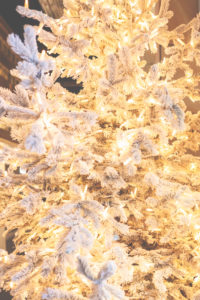 A Christmas tree - close-up, with artificial snow in a warm atmosphere