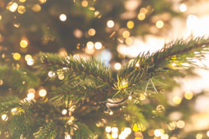 A Christmas tree with lights - a branch, close-up