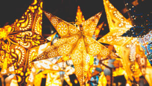Poinsettias - decoration on the Christmas market