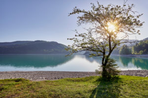 Walchensee, Blick vom Südufer nach Osten auf Niedernach Walchensee, Blick vom Südufer nach Osten auf Niedernach