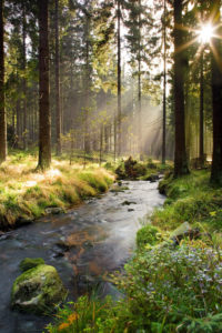 Sonnenstrahlen, Sonne, Fluss, Bode, Bäume, Wald, Sommer, Nationalpark, Harz, Sonnenstrahlen, Sonne, Fluss, Bode, Bäume, Wald, Sommer, Nationalpark, Harz,