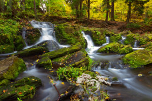 Selkefälle, Wasserfall, Herbst, Felsen, Wald, Harz, Deutschland Selkefälle, Wasserfall, Herbst, Felsen, Wald, Harz, Deutschland