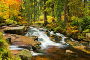 Bode, Herbst, Laubfärbung, Wald, Harz, Nationalpark Bode, Herbst, Laubfärbung, Wald, Harz, Nationalpark
