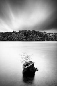 Long time exposure, lake, tree stump, trees, forest, clouds, b/w, Long time exposure, lake, tree stump, trees, forest, clouds, b/w,