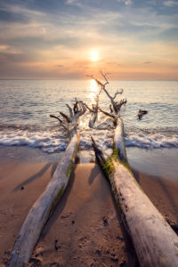 Sommer, Abendstimmung, Sonnenuntergang, Strand, Ostsee, Mecklenburg-Vorpommern, Deutschland, Europa
Sommer, Abendstimmung, Sonnenuntergang, Strand, Ostsee, Mecklenburg-Vorpommern, Deutschland, Europa