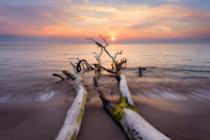 Sommer, Abendstimmung, Sonnenuntergang, Strand, Ostsee, Mecklenburg-Vorpommern, Deutschland, Europa
Sommer, Abendstimmung, Sonnenuntergang, Strand, Ostsee, Mecklenburg-Vorpommern, Deutschland, Europa