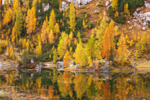 Goldene Stunde, Herbst, Lago Federa, Cortina d'Ampezzo, Belluno, Italien, Europa
Goldene Stunde, Herbst, Lago Federa, Cortina d'Ampezzo, Belluno, Italien, Europa