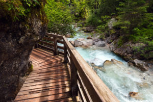 Sommer, Wald, Zauberwald, Alpen, Hintersee, Bayern, Deutschland, Europa
Sommer, Wald, Zauberwald, Alpen, Hintersee, Bayern, Deutschland, Europa