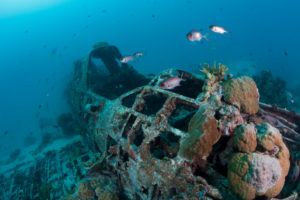 Scuba Diver over Coral Reef, New Ireland, Papua New Guinea Scuba Diver over Coral Reef, New Ireland, Papua New Guinea