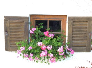 Bildagentur | mauritius images | Farmhouse window with geraniums,  Ringelswies, Deggendorf, Germany, Europe