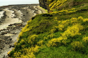 Coastal impression at Nash Point, Wales Coastal impression at Nash Point, Wales