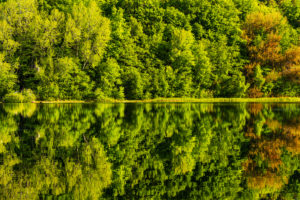 Garrensee, Lauenburg Lakes Nature Park Garrensee, Lauenburg Lakes Nature Park
