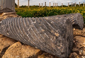 City Kingdom of Sálamis, Northern Cyprus City Kingdom of Sálamis, Northern Cyprus