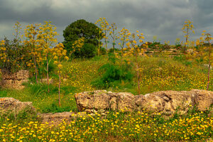 City Kingdom of Sálamis, Northern Cyprus City Kingdom of Sálamis, Northern Cyprus