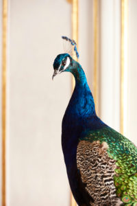 Opulent and elegant Christmas, Christmas decoration Opulent and elegant Christmas, Christmas decoration