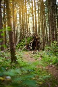 Natural hut in the forest, autumn, green, Natural hut in the forest, autumn, green,