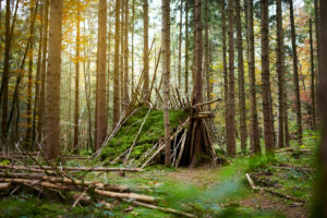 Natural hut in the forest, autumn, green, Natural hut in the forest, autumn, green,