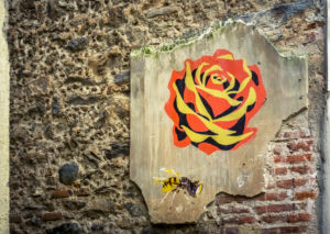Alter Graffiti in Céret Alter Graffiti in Céret