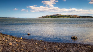 Étang de Bages et de Sigean im Frühling. Die Gemeinde liegt im Regionalen Naturpark Narbonnaise en Méditerranée. Étang de Bages et de Sigean im Frühling. Die Gemeinde liegt im Regionalen Naturpark Narbonnaise en Méditerranée.