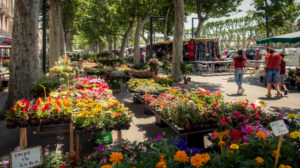 Markt in Narbonne im Frühling. Der Markt findet jeden Donnerstag auf der Cours de la République statt. Markt in Narbonne im Frühling. Der Markt findet jeden Donnerstag auf der Cours de la République statt.