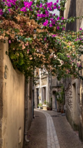 Dorfgasse in Peyriac de Mer im Sommer Dorfgasse in Peyriac de Mer im Sommer