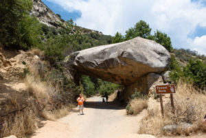 In Sequoia National Park, California, USA In Sequoia National Park, California, USA