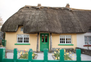 Special Architecture in Adare, Ireland Special Architecture in Adare, Ireland