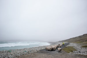 Coast and countryside on Achill Island, Ireland Coast and countryside on Achill Island, Ireland