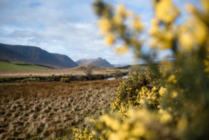 Landscape in Connemara National Park, Ireland Landscape in Connemara National Park, Ireland