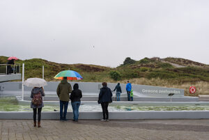 Im Ecomare in Texel Holland, einer Aufzucht Station für Seehunde Im Ecomare in Texel Holland, einer Aufzucht Station für Seehunde