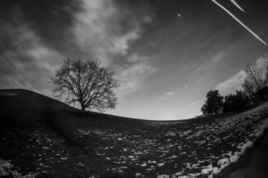 Long-exposure photography at night, tree on hill, with shooting stars Long-exposure photography at night, tree on hill, with shooting stars