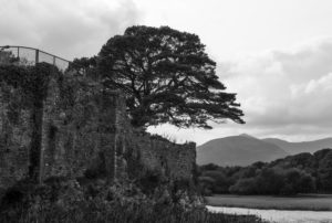 McCarthy's Castle, Killarney National Park, Ireland McCarthy's Castle, Killarney National Park, Ireland
