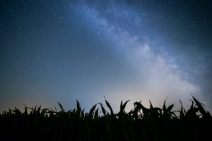 starry sky starry sky