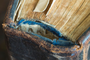 Old Book, Close up of the Spine Old Book, Close up of the Spine