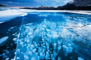 Canada, Alberta, Abraham Lake, Bubbles and Cracks in the Ice Canada, Alberta, Abraham Lake, Bubbles and Cracks in the Ice