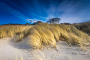 Sand dunes on Baltic Sea in the sundown, Baltic sea spa Prerow, Mecklenburg-Western Pomerania, Germany Sand dunes on Baltic Sea in the sundown, Baltic sea spa Prerow, Mecklenburg-Western Pomerania, Germany