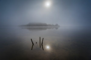 Lake, island, branches, sun, fog, Lake, island, branches, sun, fog,