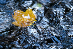 Brook, water, leaf, blur, Brook, water, leaf, blur,