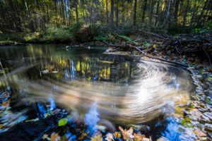 River, water surface, leaves, detail, blur, River, water surface, leaves, detail, blur,
