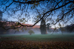 Autumn landscape, fog, morning, Autumn landscape, fog, morning,