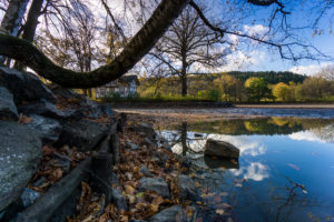 Lake shore, autumn leaves, trees, house, Lake shore, autumn leaves, trees, house,