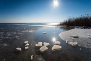 Winter at the frozen lake with sun in the backlight and Schilff on the shore Winter at the frozen lake with sun in the backlight and Schilff on the shore